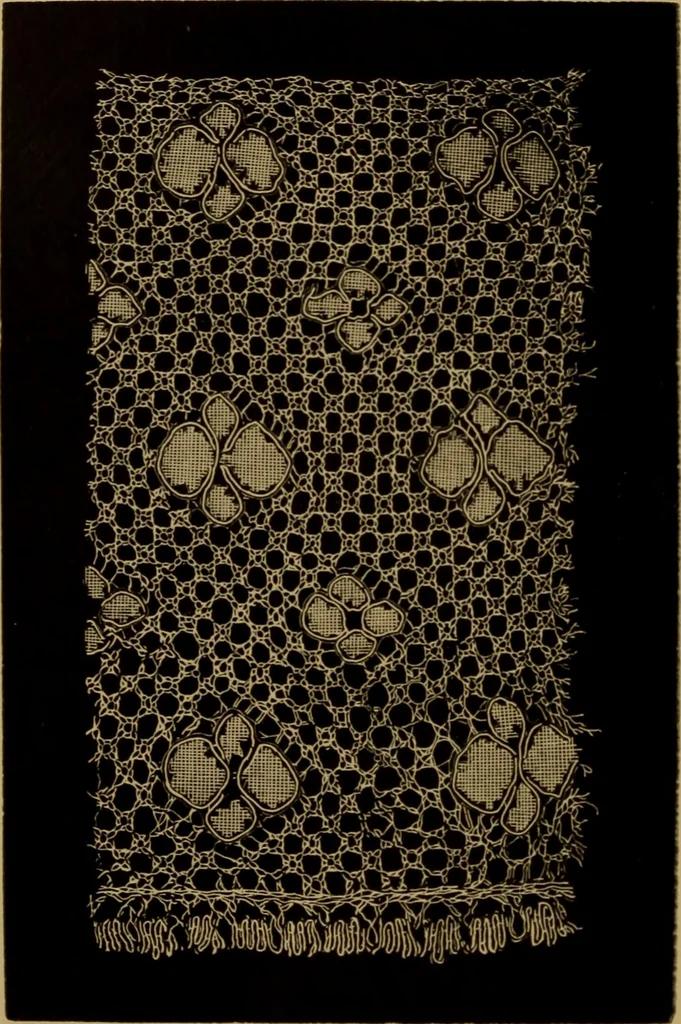 An illustration from History of lace, 1902, leaf 375