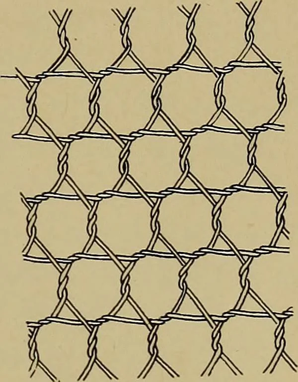An illustration from History of lace, 1902, leaf 38