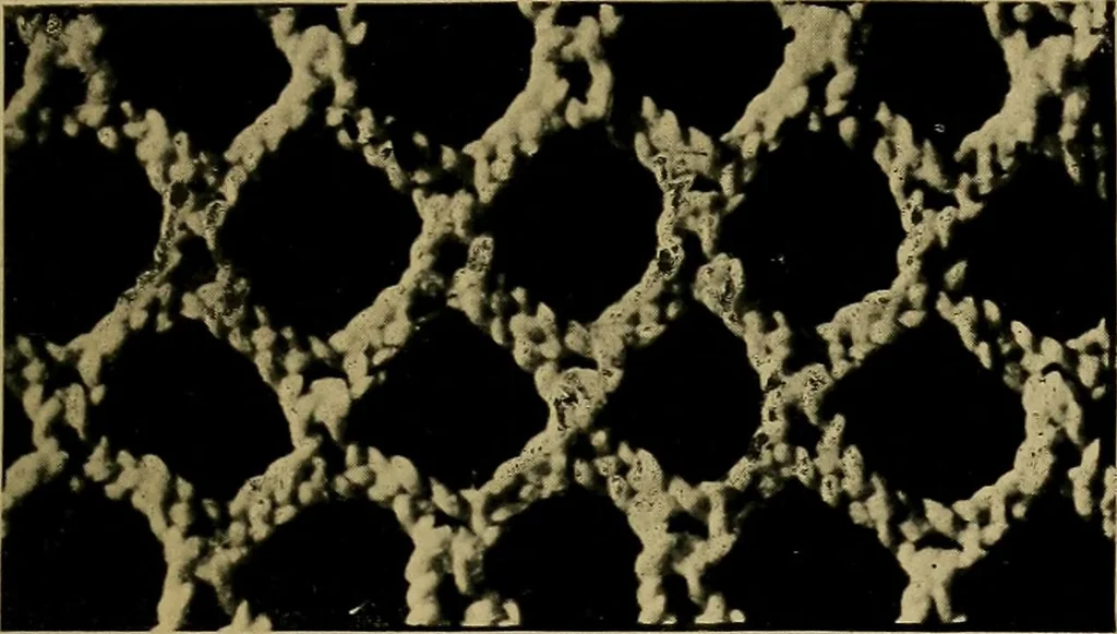 An illustration from History of lace, 1902, leaf 38