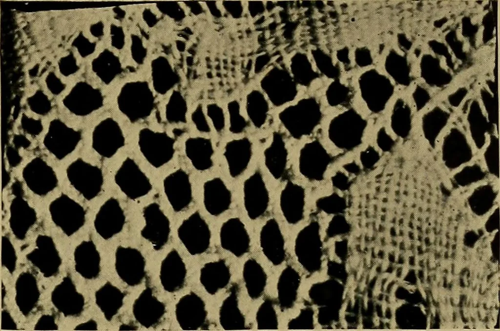 An illustration from History of lace, 1902, leaf 38