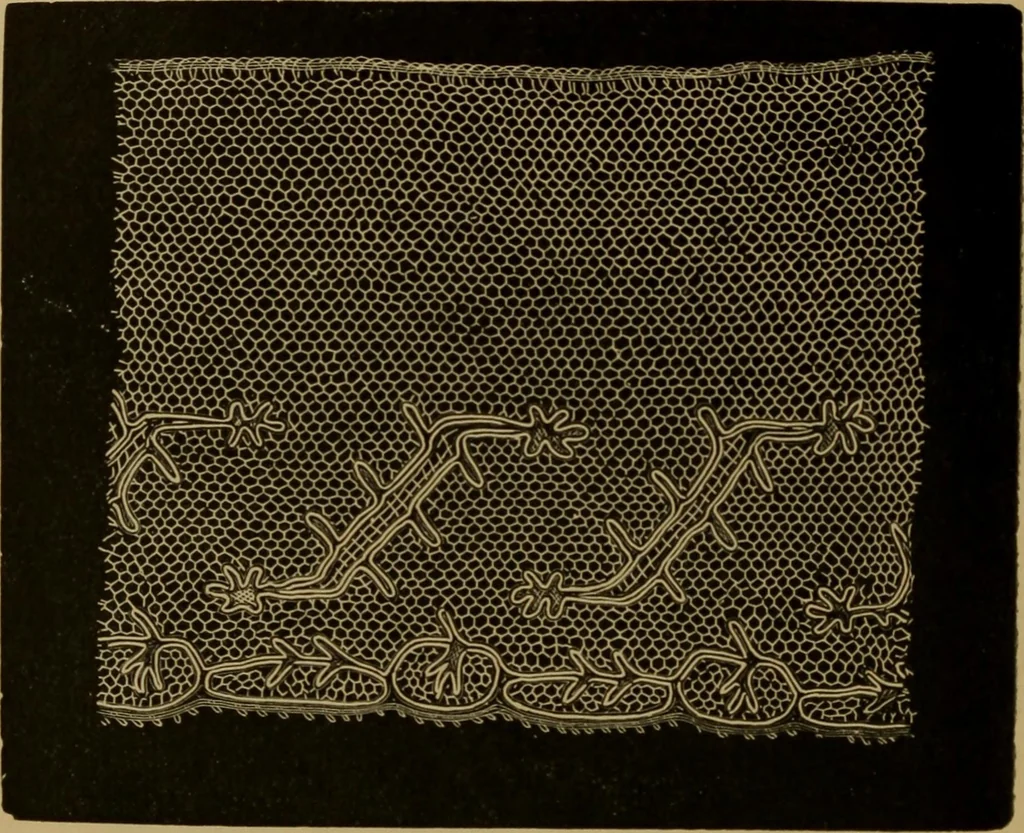 An illustration from History of lace, 1902, leaf 401
