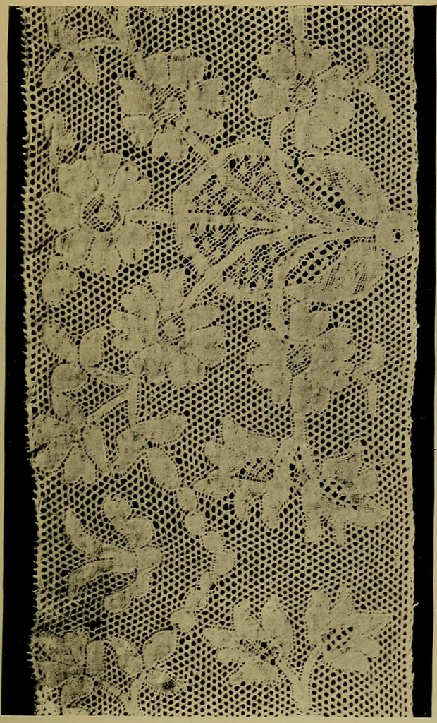 An illustration from History of lace, 1902, leaf 438