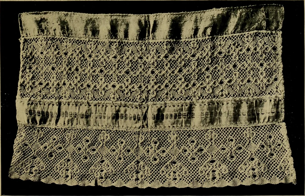 An illustration from History of lace, 1902, leaf 456