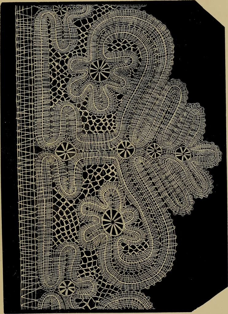 An illustration from History of lace, 1902, leaf 470