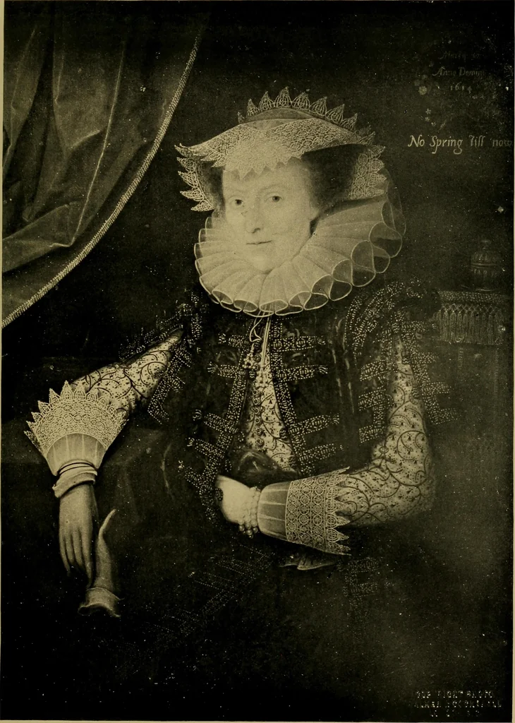 An illustration from History of lace, 1902, leaf 510