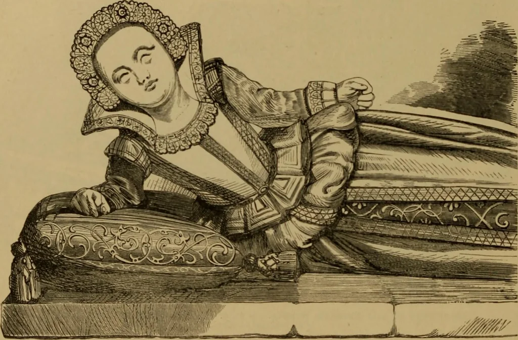 An illustration from History of lace, 1902, leaf 519