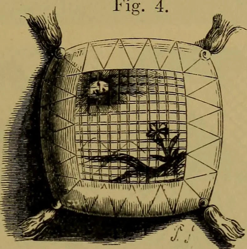 An illustration from History of lace, 1902, leaf 52