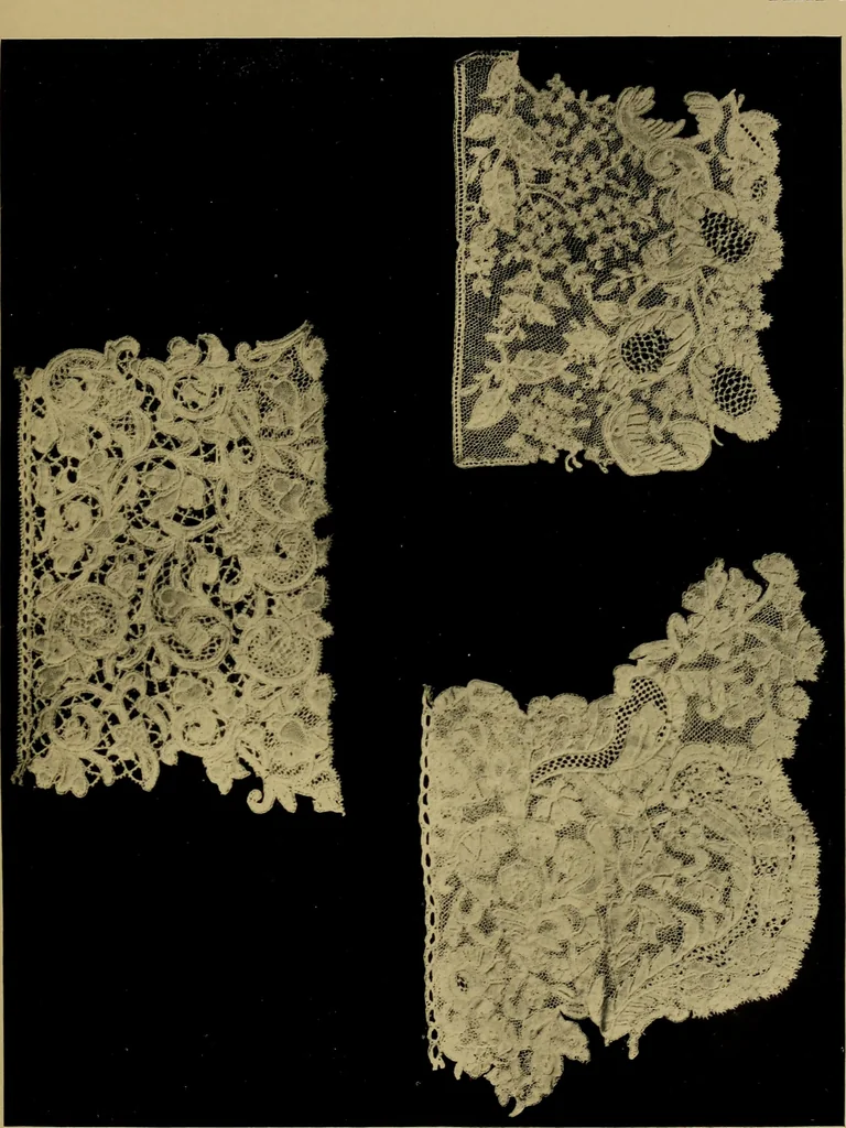 An illustration from History of lace, 1902, leaf 618