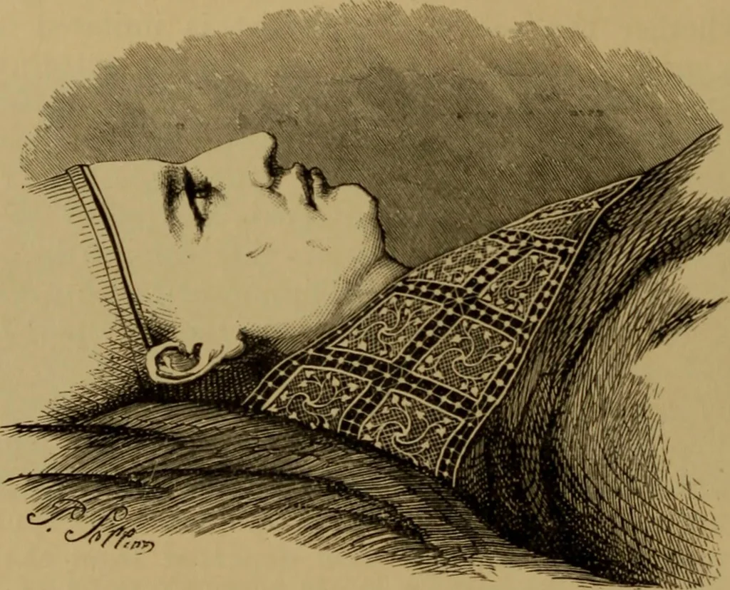 An illustration from History of lace, 1902, leaf 623