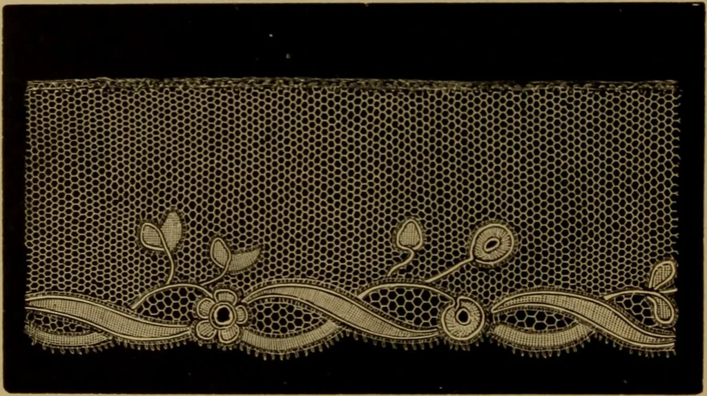 An illustration from History of lace, 1902, leaf 625