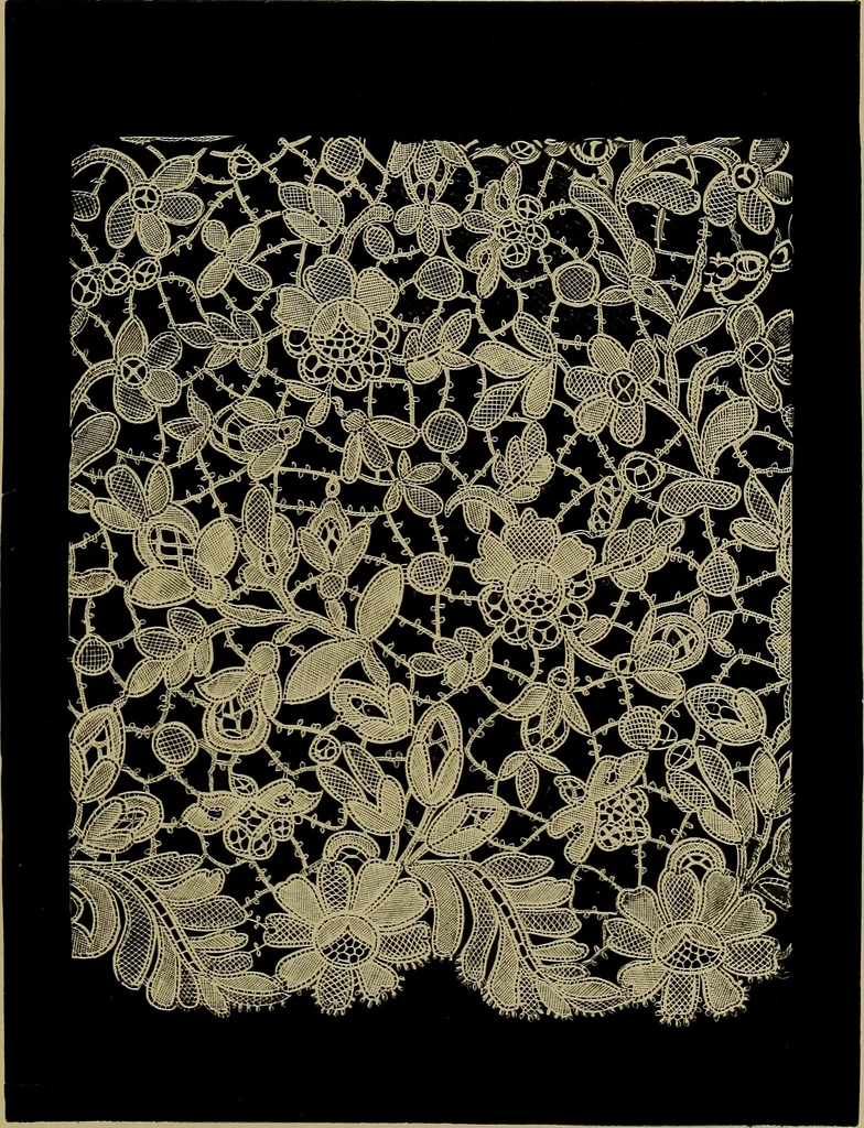 An illustration from History of lace, 1902, leaf 630