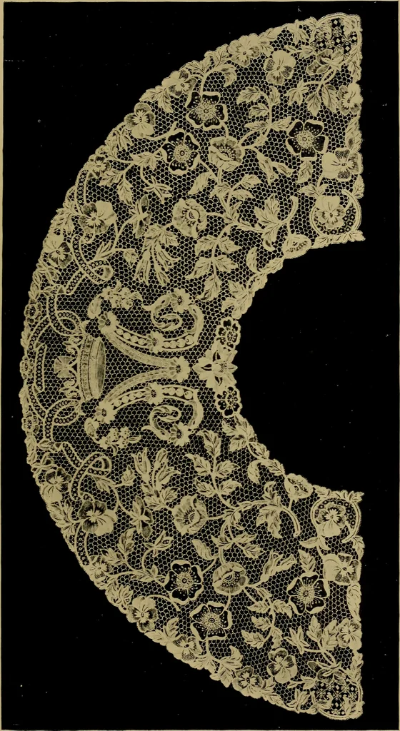 An illustration from History of lace, 1902, leaf 664