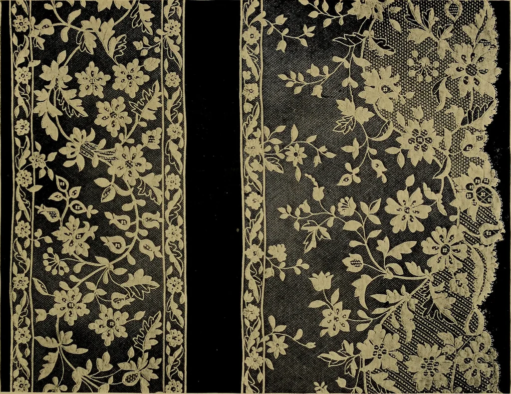 An illustration from History of lace, 1902, leaf 672
