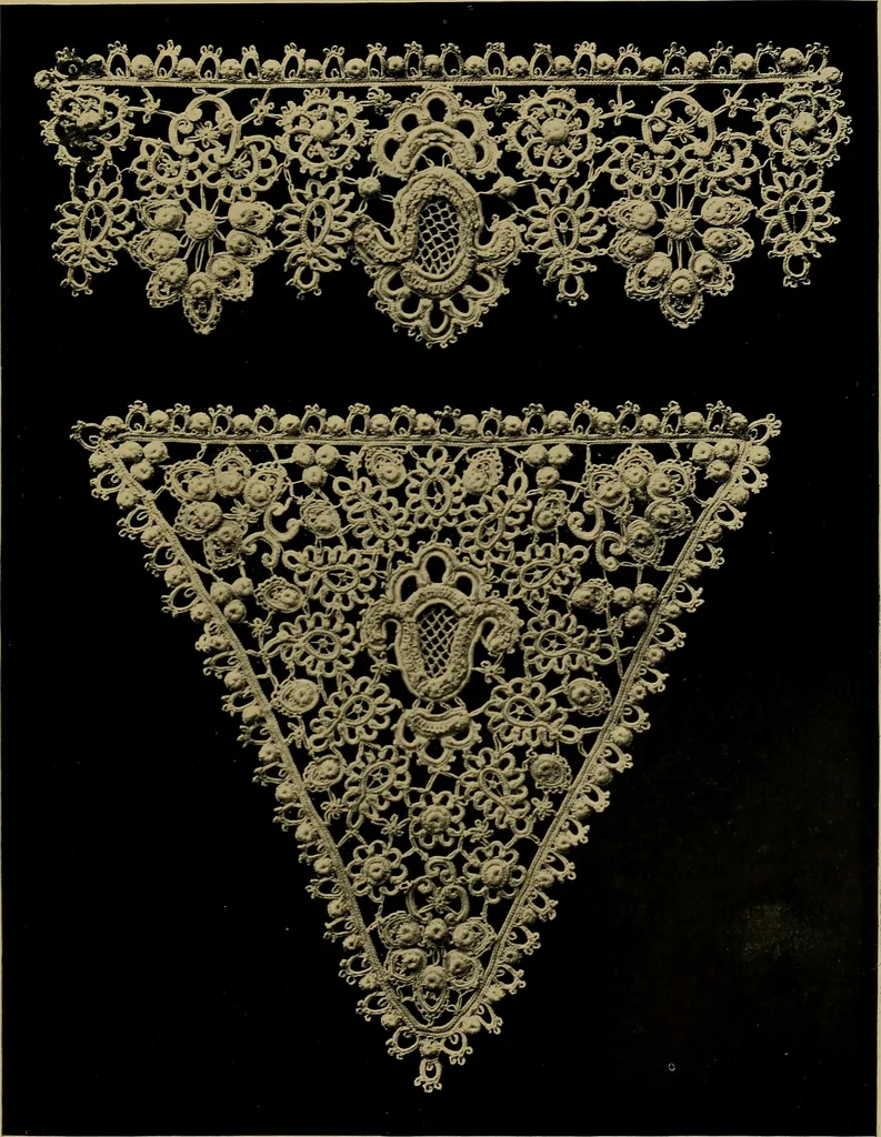 An illustration from History of lace, 1902, leaf 678