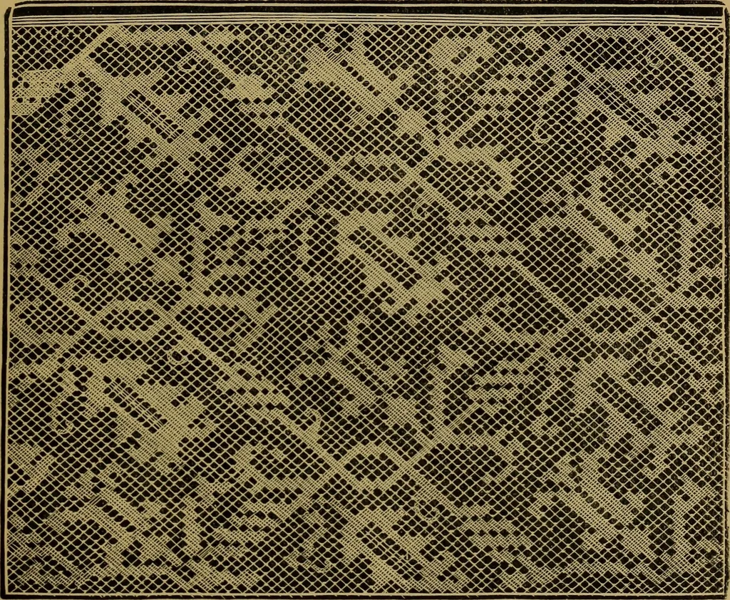 An illustration from History of lace, 1902, leaf 98
