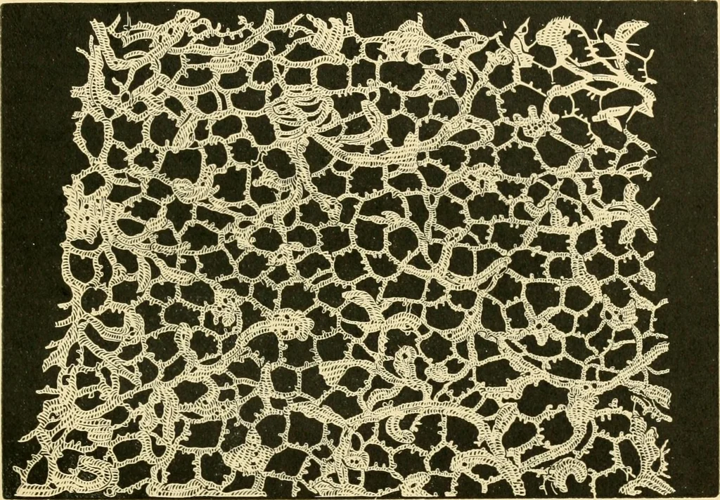 An illustration from History of lace, 1902, leaf 102