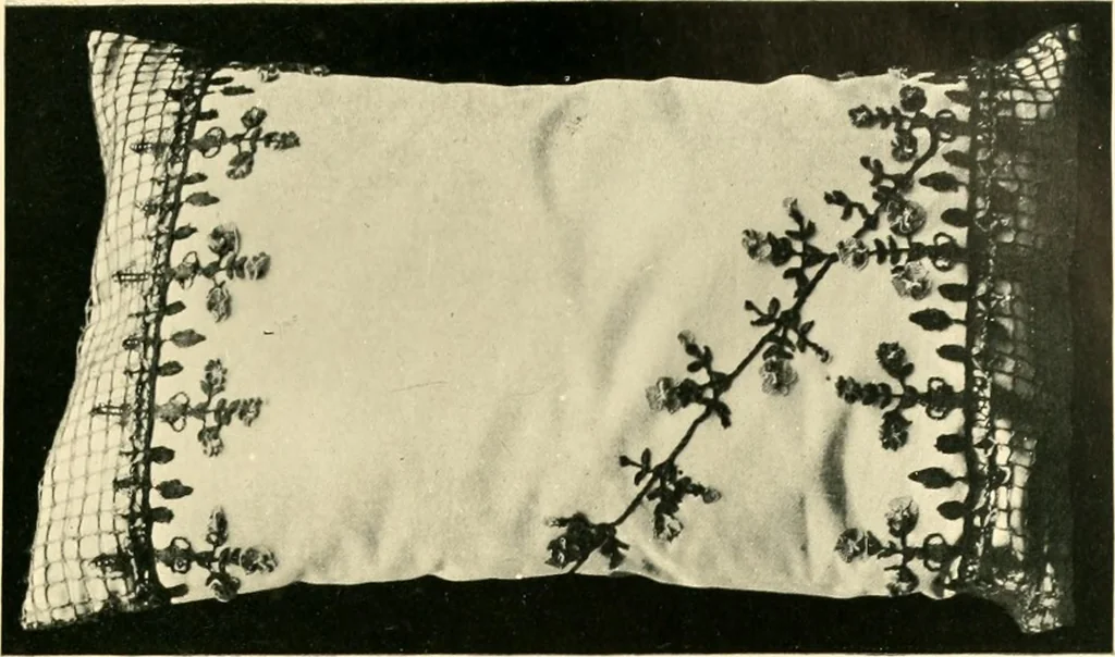 An illustration from History of lace, 1902, leaf 130