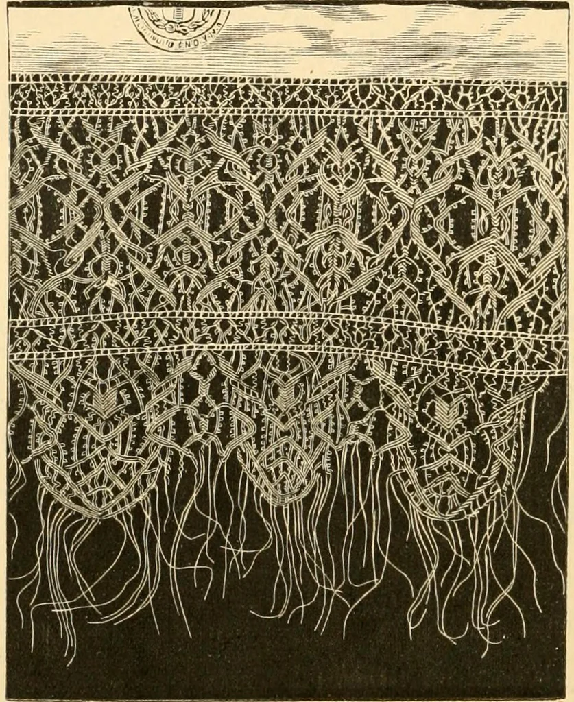 An illustration from History of lace, 1902, leaf 145
