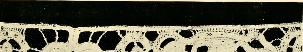 An illustration from History of lace, 1902, leaf 202