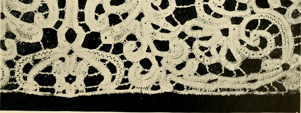 An illustration from History of lace, 1902, leaf 202