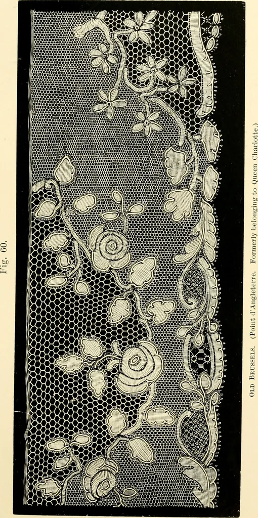 An illustration from History of lace, 1902, leaf 220