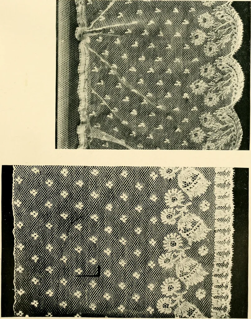 An illustration from History of lace, 1902, leaf 228
