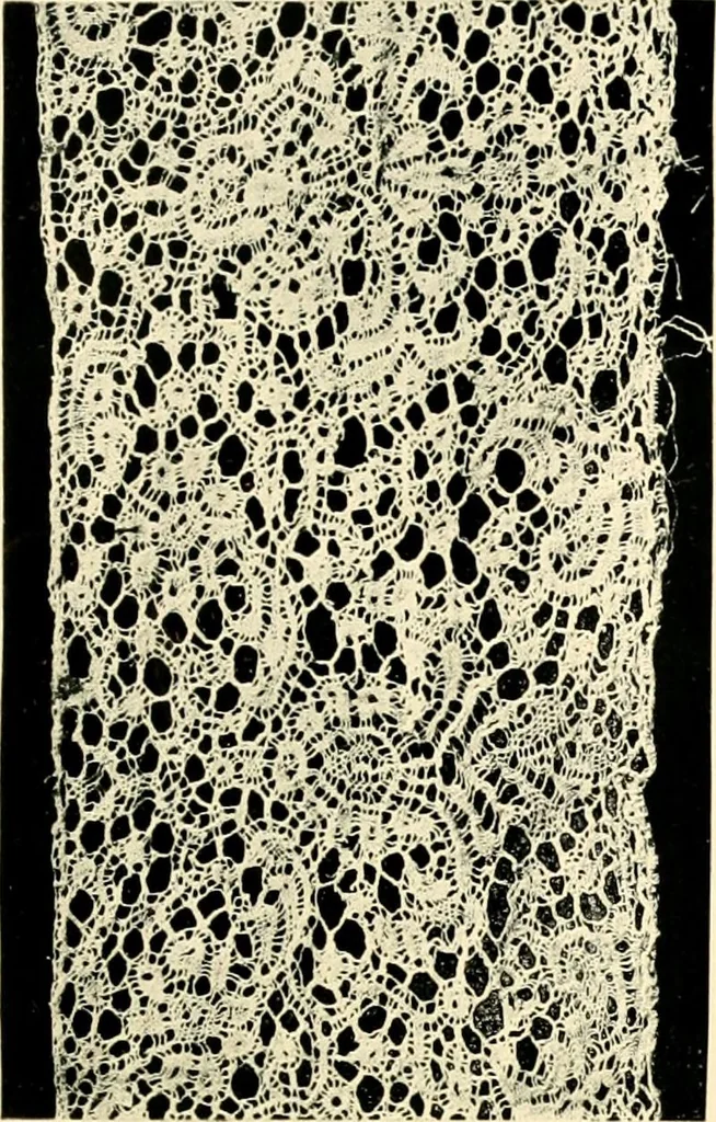 An illustration from History of lace, 1902, leaf 244