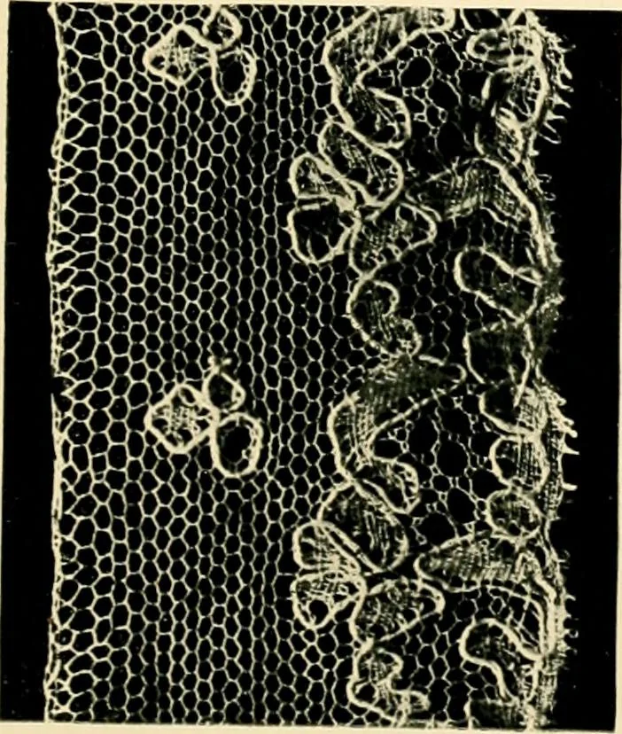 An illustration from History of lace, 1902, leaf 244