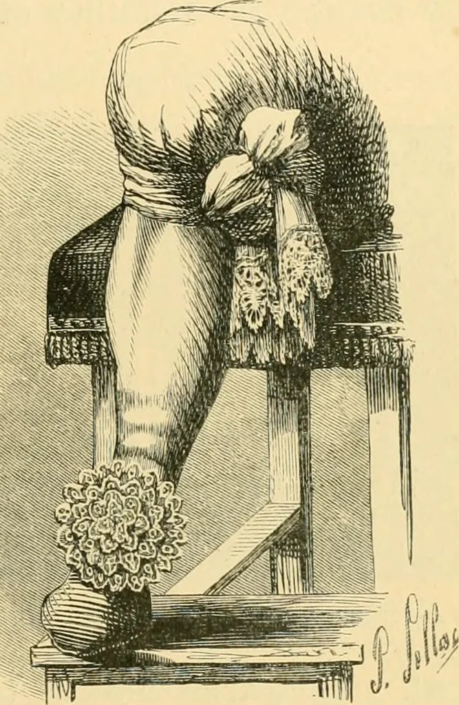 An illustration from History of lace, 1902, leaf 260