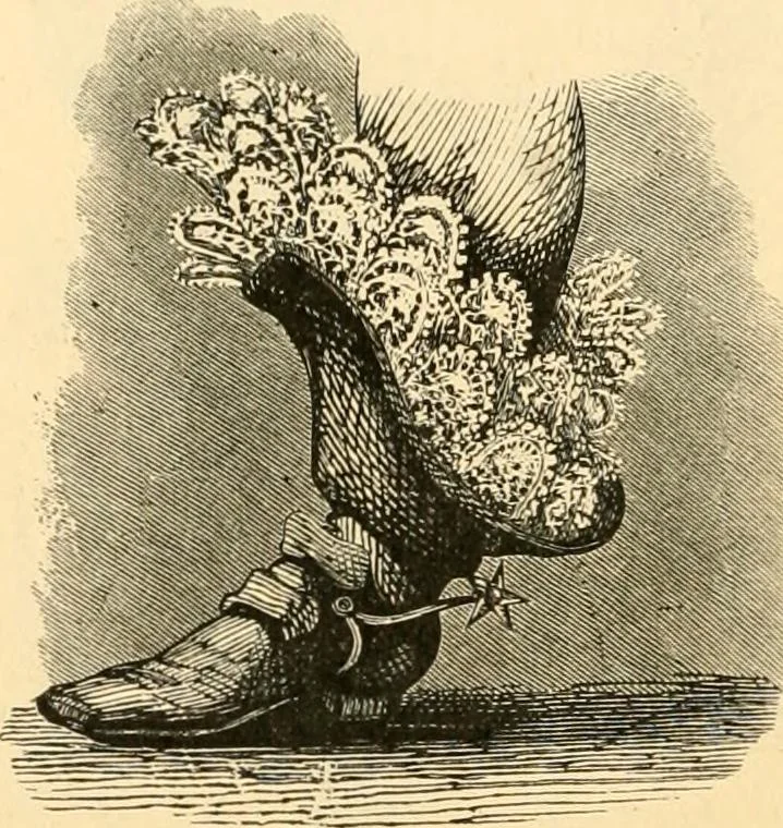 An illustration from History of lace, 1902, leaf 267