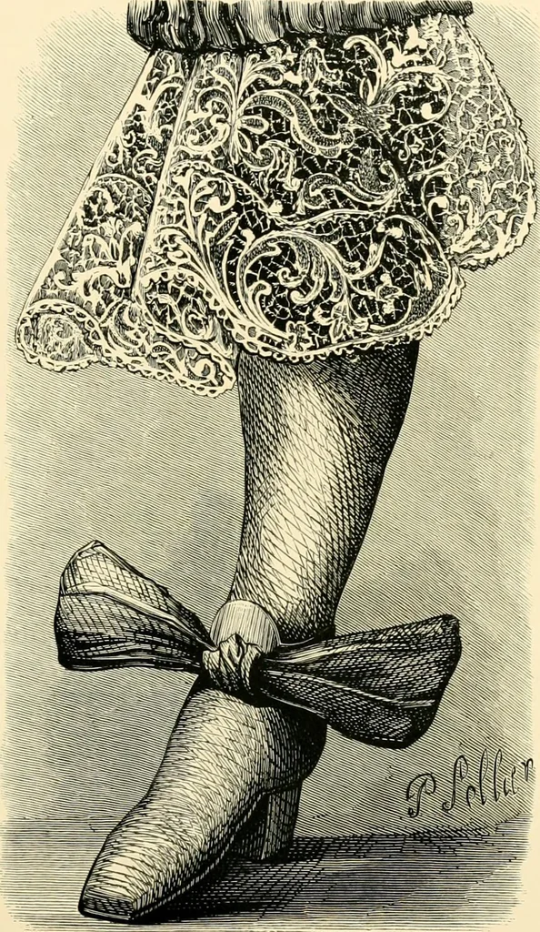 An illustration from History of lace, 1902, leaf 270