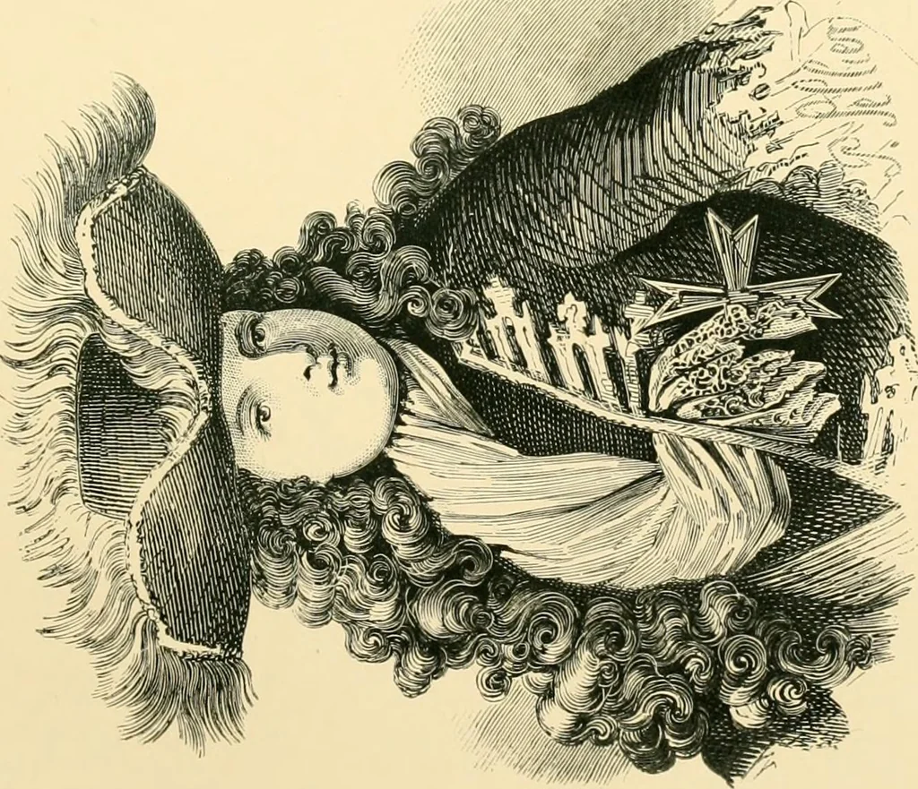 An illustration from History of lace, 1902, leaf 290