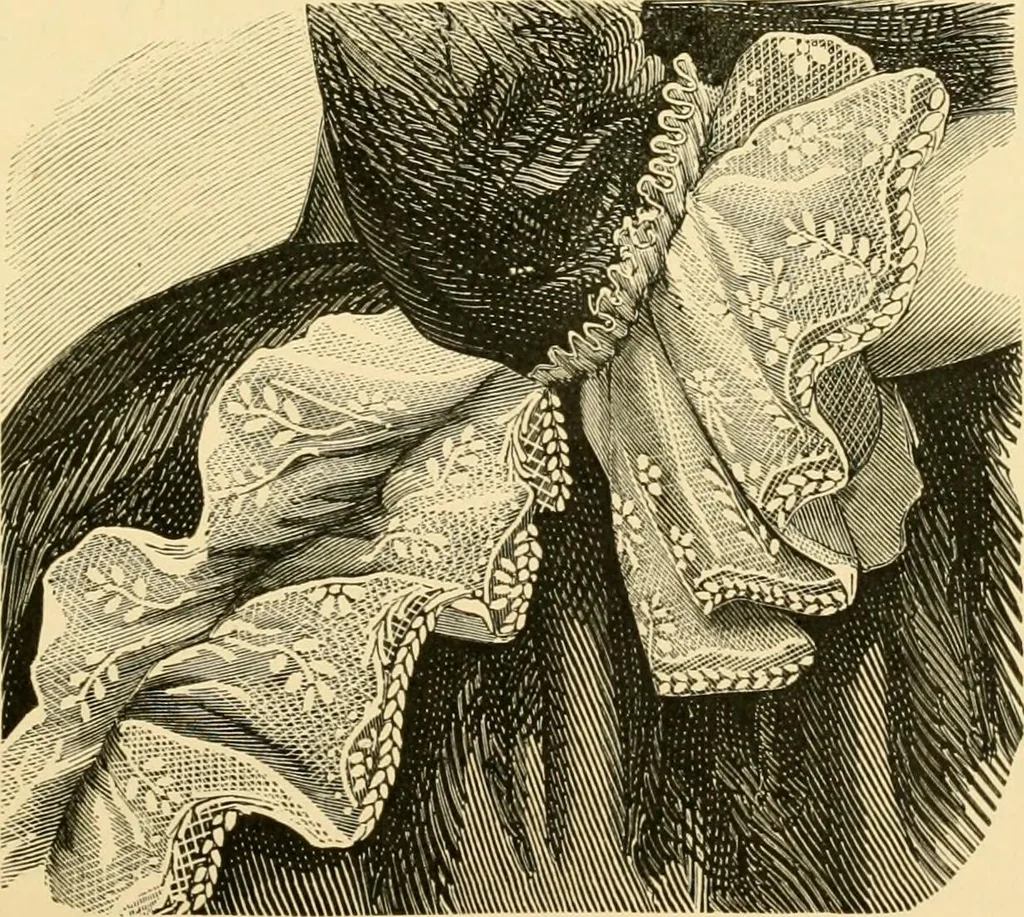 An illustration from History of lace, 1902, leaf 306