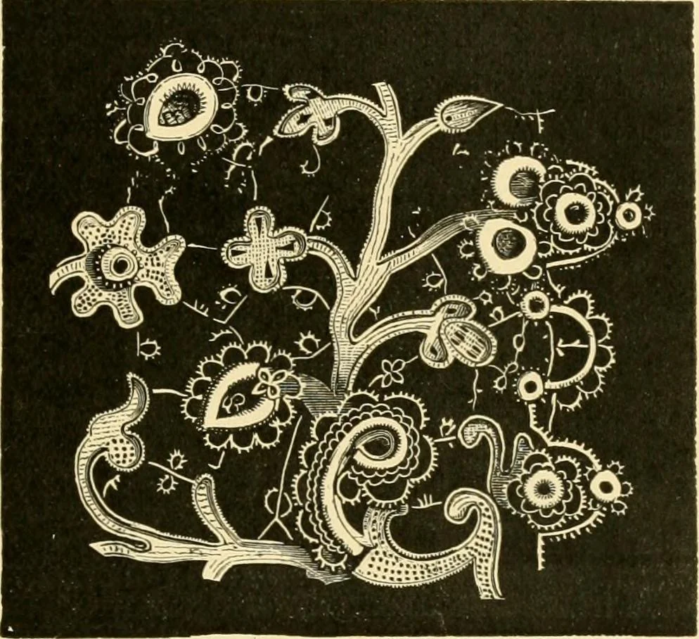 An illustration from History of lace, 1902, leaf 320