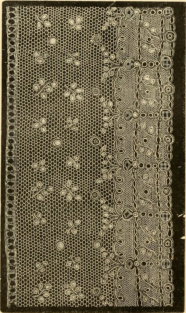 An illustration from History of lace, 1902, leaf 333