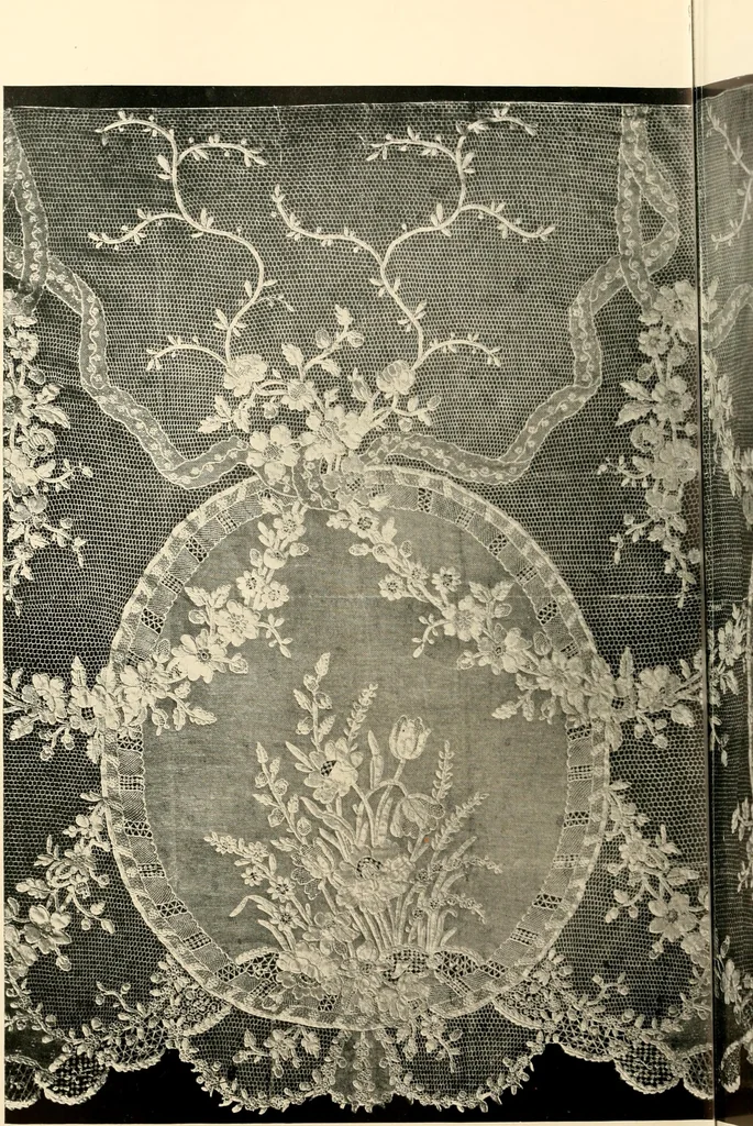 An illustration from History of lace, 1902, leaf 339
