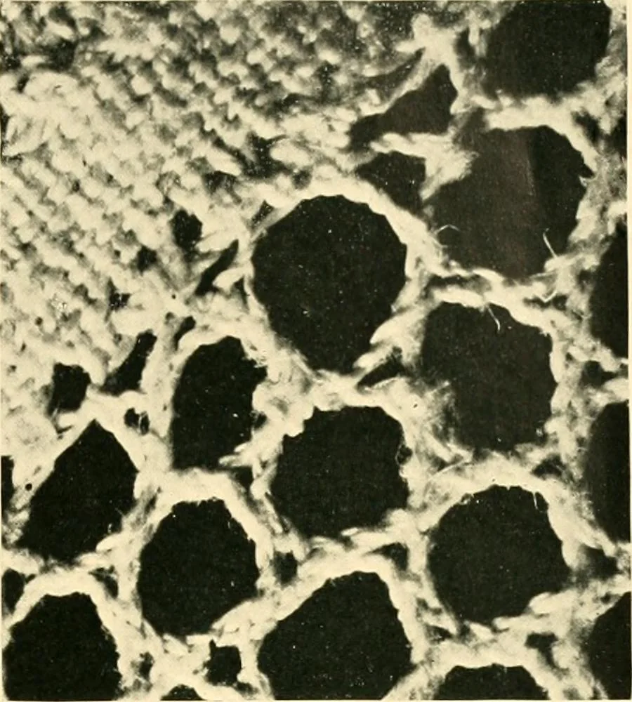 An illustration from History of lace, 1902, leaf 34