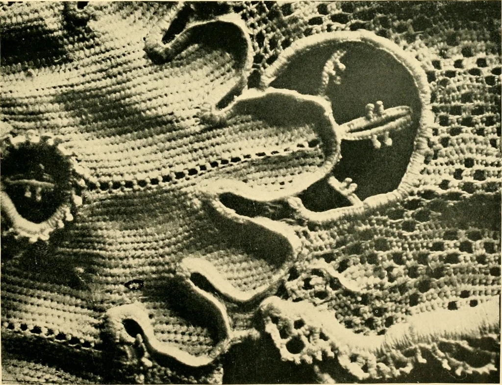 An illustration from History of lace, 1902, leaf 34