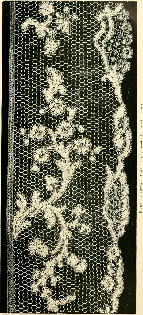 An illustration from History of lace, 1902, leaf 348