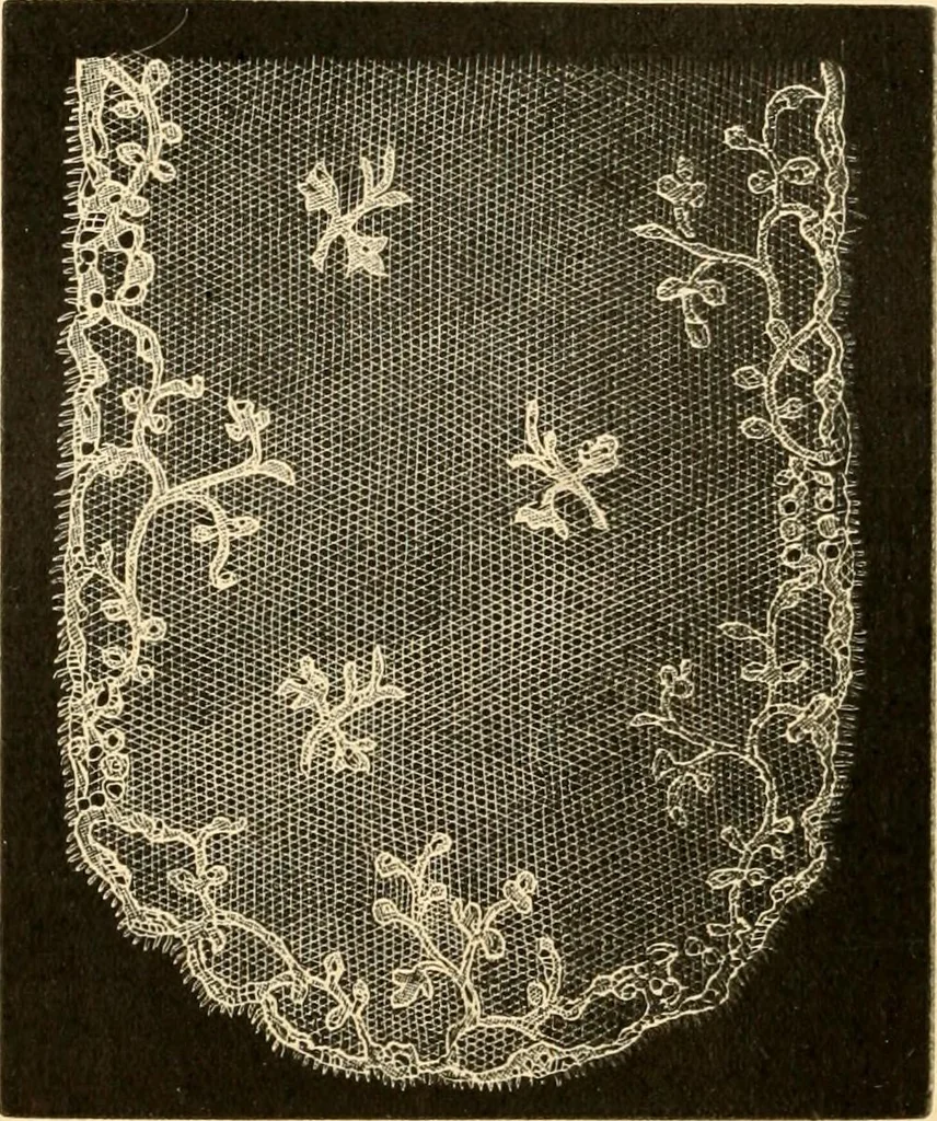 An illustration from History of lace, 1902, leaf 355