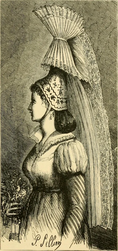 An illustration from History of lace, 1902, leaf 366