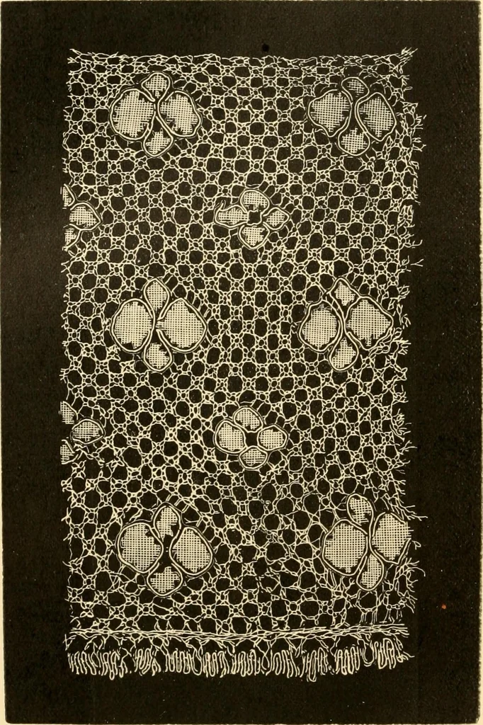 An illustration from History of lace, 1902, leaf 373