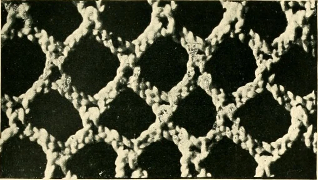 An illustration from History of lace, 1902, leaf 38