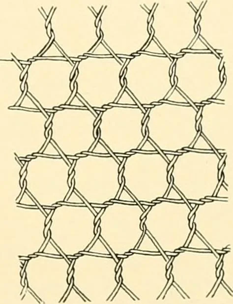 An illustration from History of lace, 1902, leaf 38