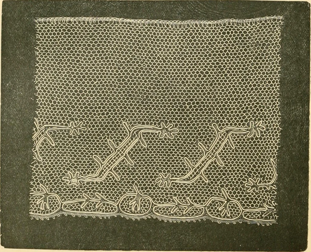 An illustration from History of lace, 1902, leaf 399