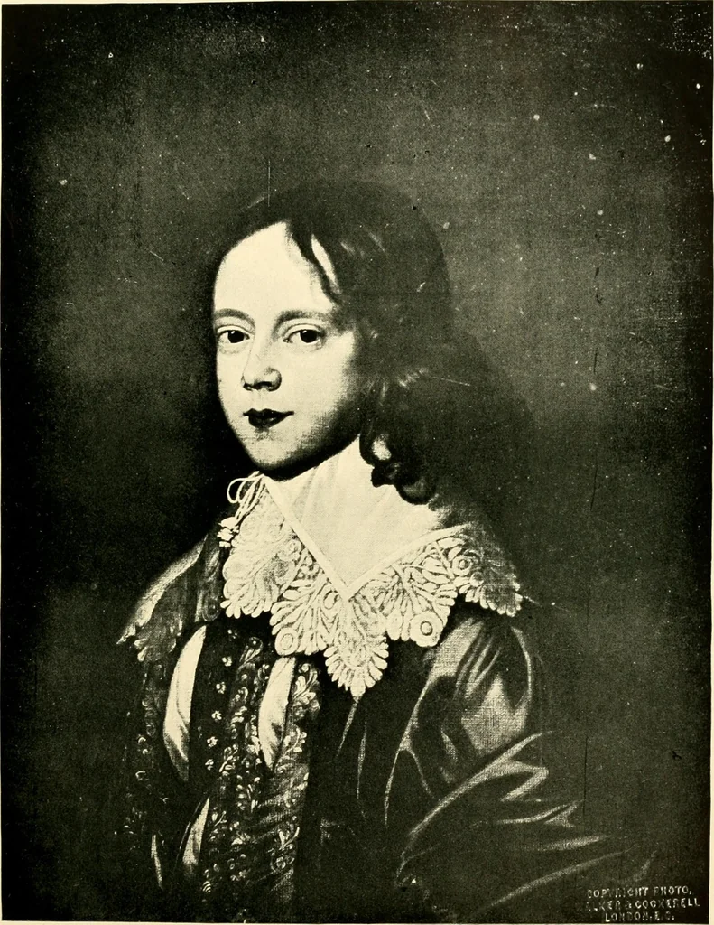 An illustration from History of lace, 1902, leaf 424