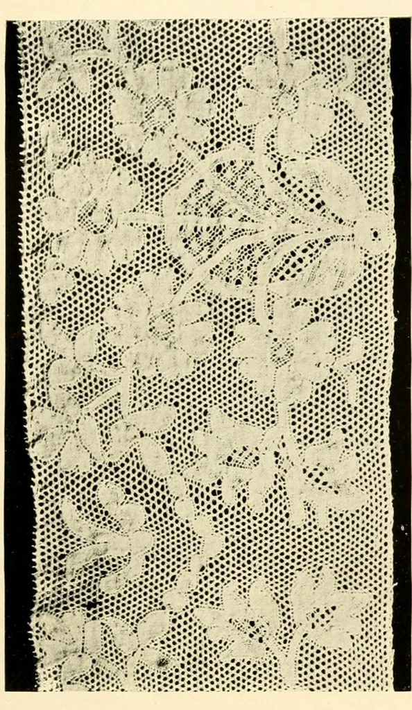 An illustration from History of lace, 1902, leaf 436