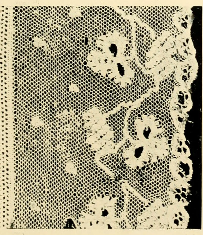 An illustration from History of lace, 1902, leaf 436