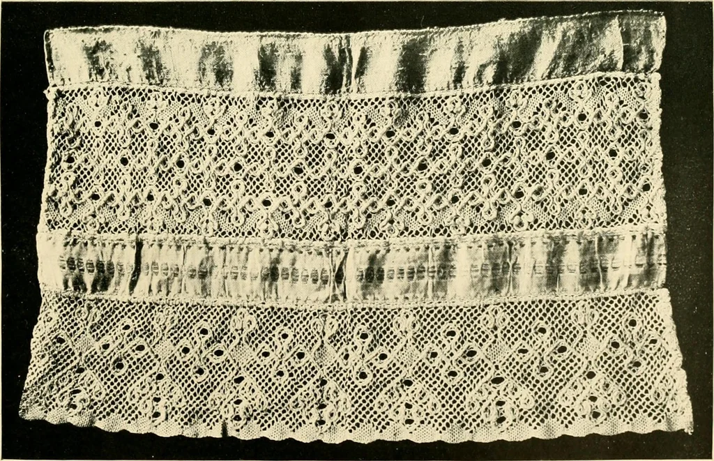 An illustration from History of lace, 1902, leaf 454
