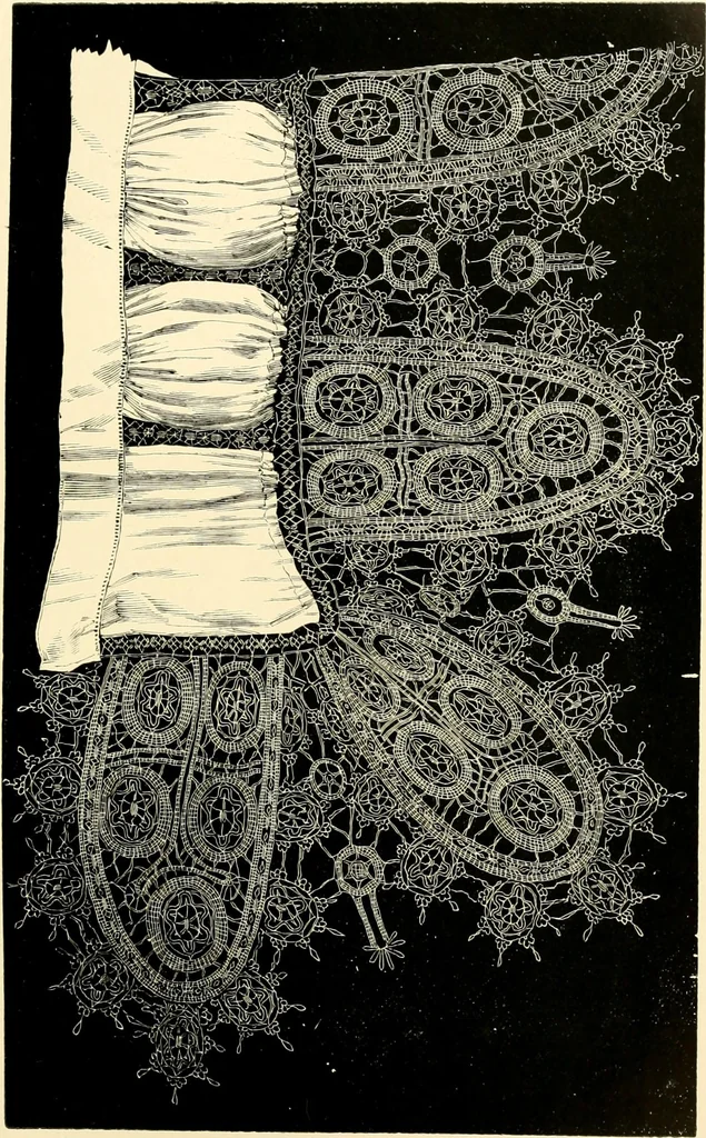 An illustration from History of lace, 1902, leaf 464